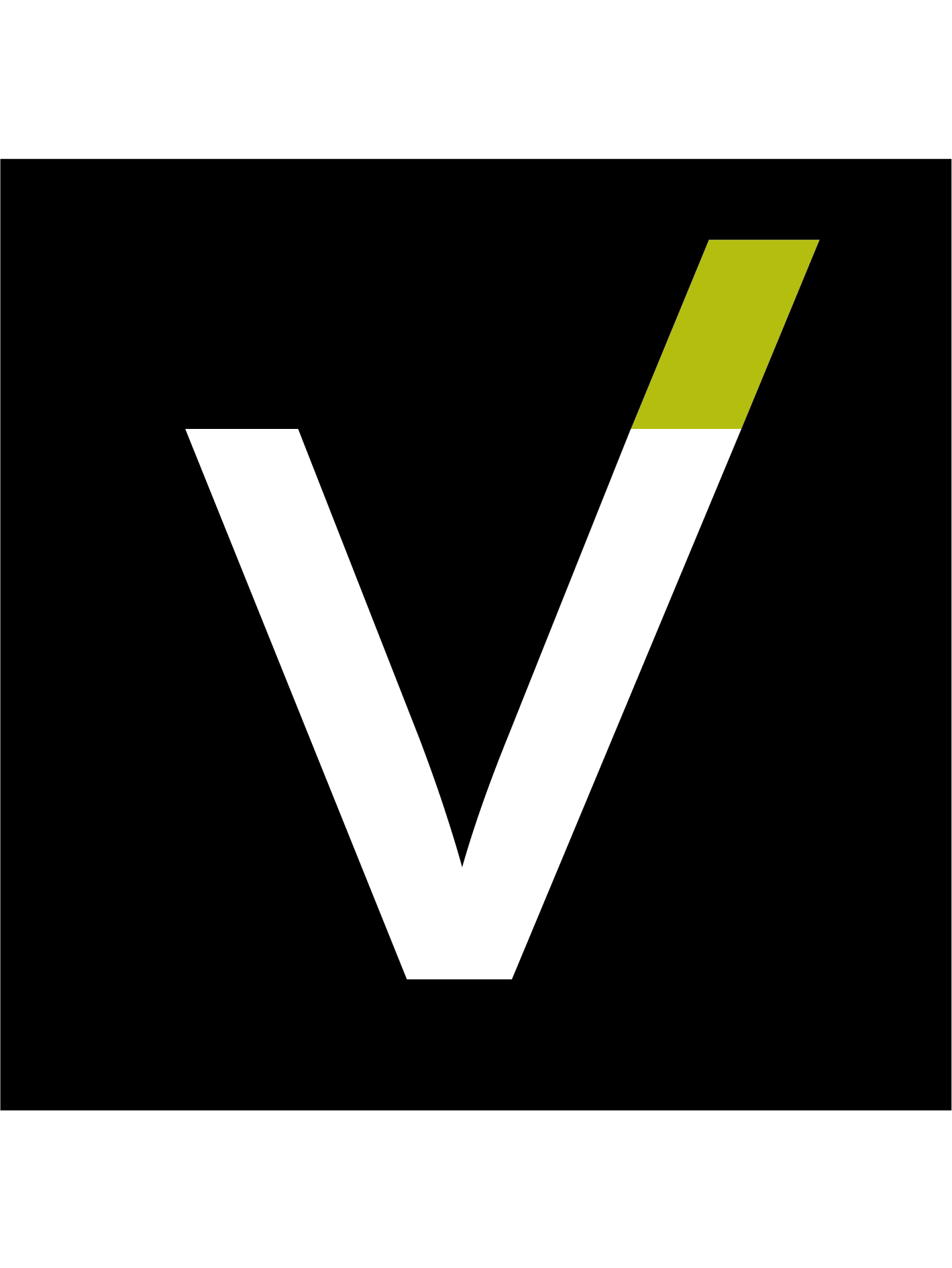 Travel Intelligence V-TAG